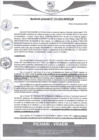 Vista preliminar de documento rgm553