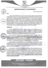 Vista preliminar de documento rgm557