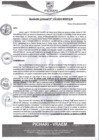 Vista preliminar de documento rgm558