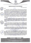 Vista preliminar de documento rgm559