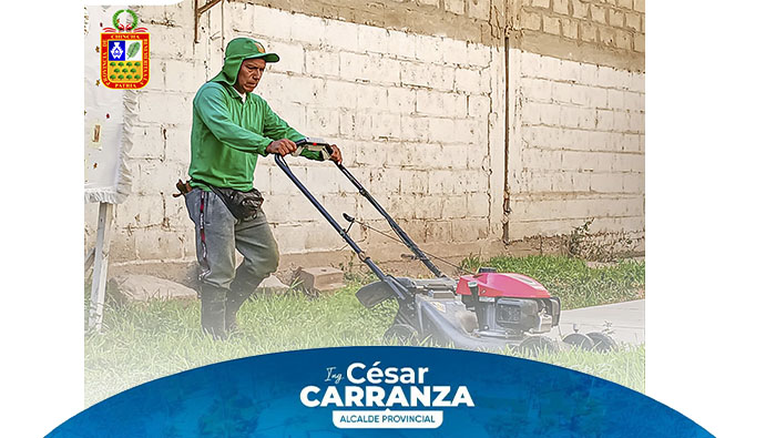 🔰El equipo de parques y jardines de la municipalidad Provincial de Chincha, realizó el mantenimiento correspondiente de las instalaciones de áreas verdes del CEBE Santa Cecilia - Chincha.
Estas labores se dan con el objetivo de brindar un espacio adecuado y limpio para los niños previo al inicio del año escolar.
Ya que juntos, trabajaremos para crear un entorno verde y acogedor para todos.