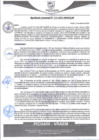Vista preliminar de documento rgm572