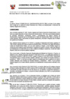 Vista preliminar de documento RESOLUCION DIRECTORAL REGIONAL-000198-2024-ORAD