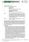 Vista preliminar de documento INFORME N. 0000178-2024 AUTO DIRECTORAL 061-2024