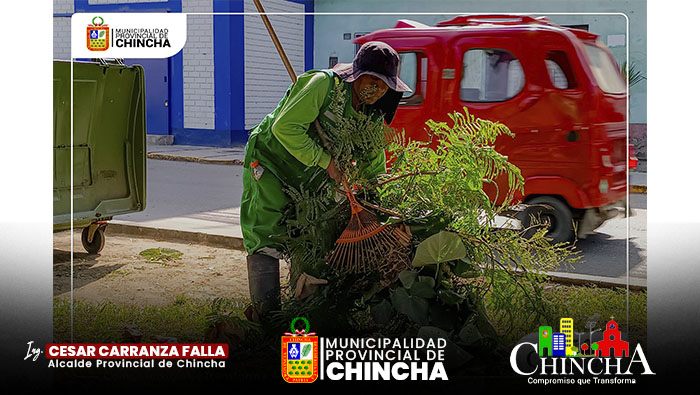 🔰El día de hoy se realizó el mantenimiento y limpieza de áreas verdes de las bernas centrales de la Av. Fatima.
Este trabajo se viene realizando a diario por parte del personal municipal del área de parques y jardines.
Nuestro compromiso es cuidar y conservar las áreas verdes de nuestra Provincia.
¡ POR UNA CHINCHA VERDE Y LIMPIA !