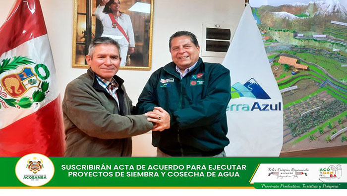 imagen1