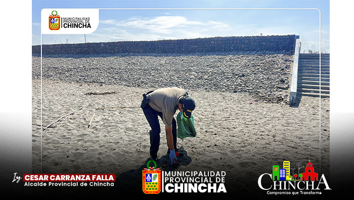El día de hoy la Municipalidad de Chincha, en coordinación con la municipalidad del distrito de tambo de mora, realizó una jornada de limpieza en la playa cruz verde, con la finalidad de tener playas limpias al ser un balneario muy concurrido por los bañistas este verano.
El equipo del programa educca de la comuna provincial, junto a los jóvenes voluntarios y participantes quienes desempeñaron un papel fundamental en esta tarea, denominado salva playa, demostrando que la unión de la comunidad puede marcar la diferencia.
Sigamos trabajando juntos para preservar la belleza de Chincha, juntos a sus playas con el compromiso mutuo al cuidado del medio ambiente.
