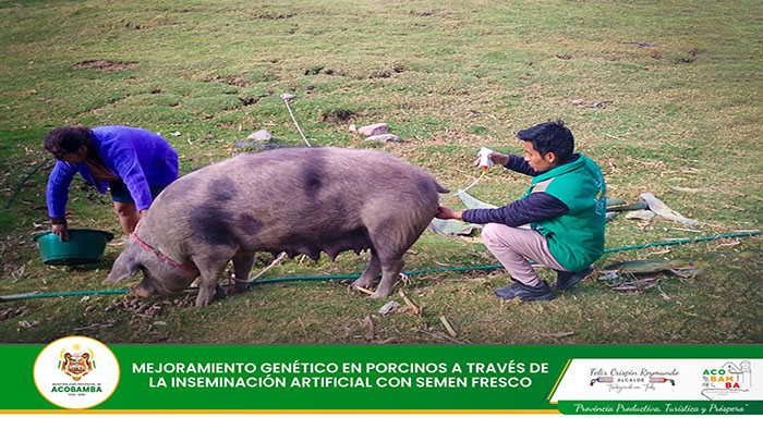 imagen1