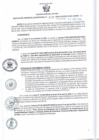 Vista preliminar de documento RGSR 259-2024