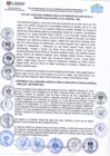 Vista preliminar de documento ACTA DE LA II AUDIENCIA PUBLICA DE RENDICION DE CUENTAS - 2024