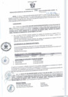 Vista preliminar de documento RGSR 270-2024