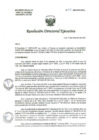Vista preliminar de documento R.D.E. Nº223-2024-HNAL-OEA