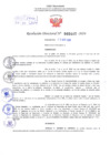 Vista preliminar de documento Resolución Directoral. N° 2447 - 2024 