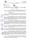 Vista preliminar de documento Resolución Directoral. N° 2457 - 2024