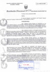 Vista preliminar de documento RD N°0119
