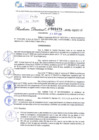 Vista preliminar de documento Resolución Directoral. N° 2479 - 2024 