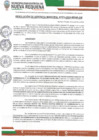 Vista preliminar de documento RGM 074-2024