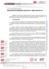 Vista preliminar de documento resolucion de presidencia ejecutiva 000091 2024 pe