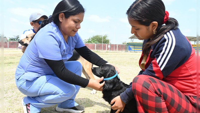 Atención veterinaria