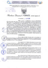 Vista preliminar de documento Resolución Directoral. N° 2473 - 2024 