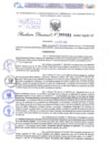 Vista preliminar de documento Resolución Directoral. N° 2464 - 2024 