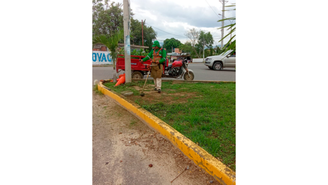 Mantenimiento de áreas verdes en diferentes puntos de la ciudad de Tarapoto. 