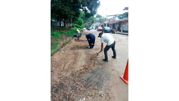 Mantenimiento de Γ‘reas verdes en diferentes puntos de la ciudad de Tarapoto.