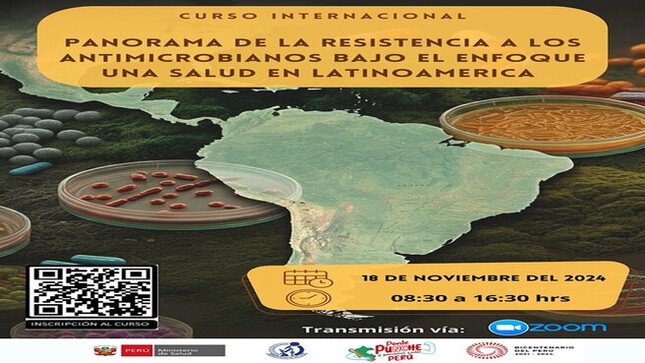 FOTO PORTADA