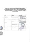 Vista preliminar de documento DIRECTIVA JEFATURAL N°004-2024-GORE-ICA-PETACC-JP
