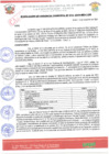 Vista preliminar de documento df_2456191.005_Resol516