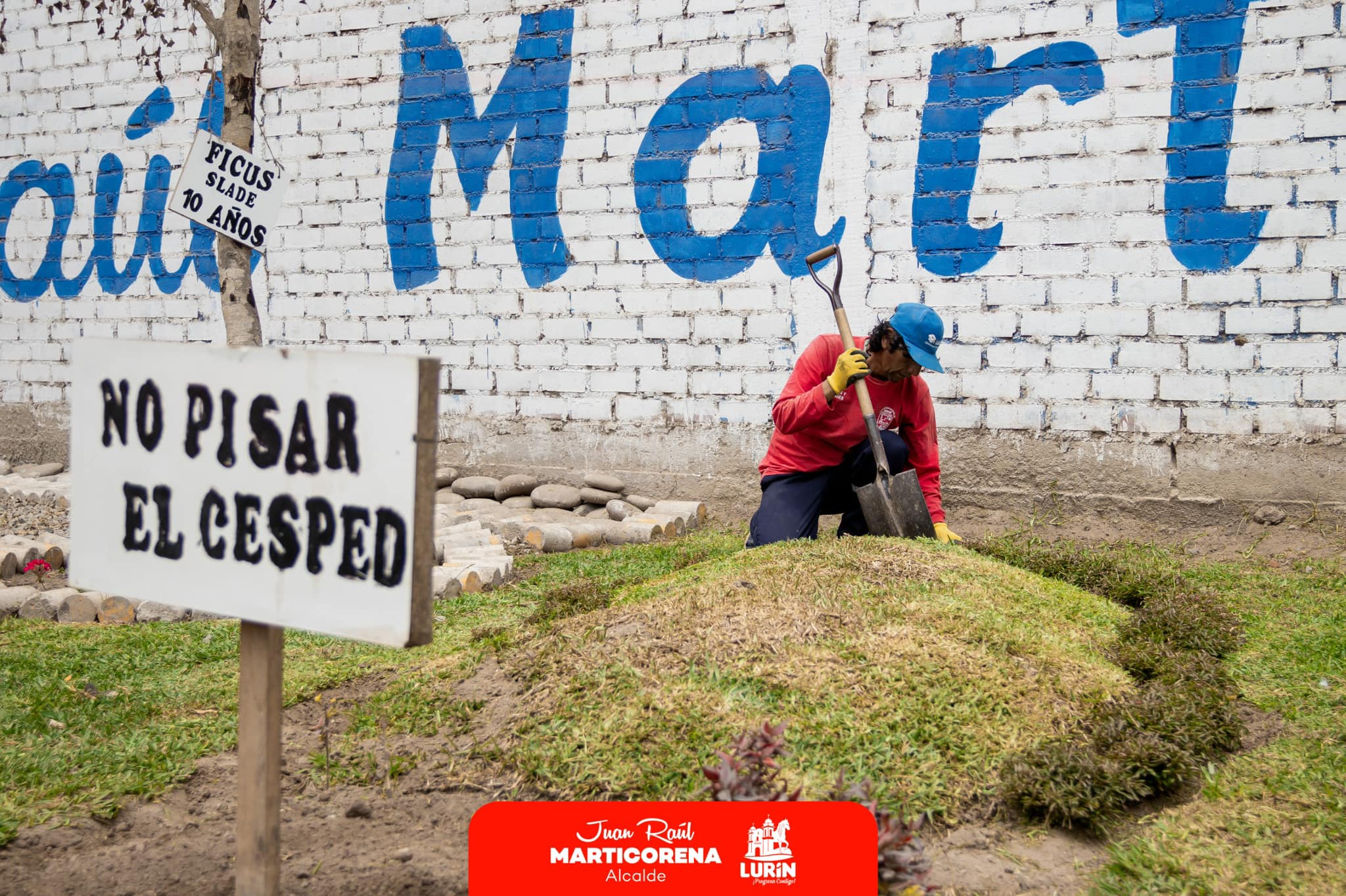 Archivo de JPG sobre una publicación del área de imagen