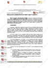 Vista preliminar de documento 411