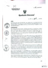 Vista preliminar de documento actualizacion de RIS 2024