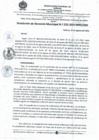 Vista preliminar de documento RESOLUCIÓN N° 222