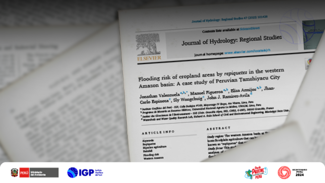 IGP analiza los "repiquetes" en la cuenca del Amazonas occidental para evaluar el riesgo de inundación agrícola en la Amazonía peruana FOTO