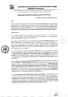 Vista preliminar de documento RGM-355-2024
