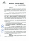Vista preliminar de documento RGR 152-2024-GRPPAT