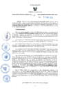 Vista preliminar de documento RES-710-2024-GRDS