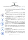 Vista preliminar de documento RES-714-2024-GRDS