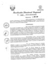 Vista preliminar de documento RDR Nº 4057-2024-GRSM-DRE
