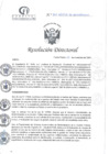 Vista preliminar de documento RD N°357-11-2024-DE-HCLLH-MINSA