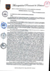 Vista preliminar de documento Archivo PDF ORDENANZA MUNICIPAL 032-2015-MPS