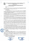 Vista preliminar de documento ACUERDO028_2015