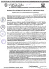 Vista preliminar de documento RGM 1328 - 2024
