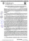 Vista preliminar de documento RGM 1336 - 2024