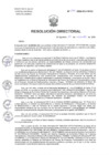 Vista preliminar de documento R.D. N°294-2024-DG-HNHU 