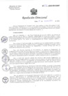 Vista preliminar de documento R.D. N°295-2024-DG-HNHU 