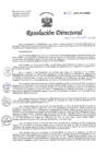 Vista preliminar de documento R.D. N°292-2024-DG-HNHU 