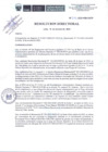 Vista preliminar de documento R.D.N.272-2022-INSN-DG