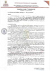 Vista preliminar de documento ACM228-2024